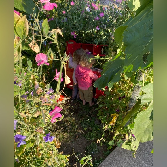 Share Show! Usually No Theme, Just Be Nice. Unlisted Items Too! @katyw12 - Picture 14 of 15